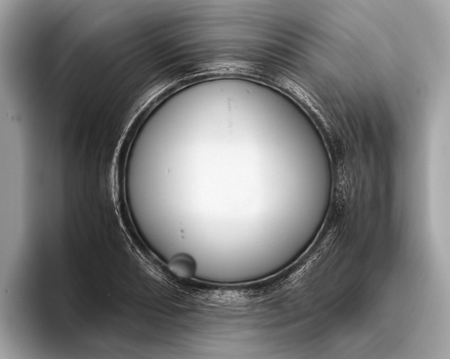 X0000095911082200801251005