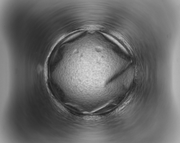 X0000095911083200801251005