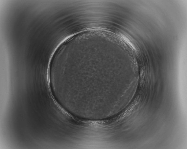 X0000095911084200801251005