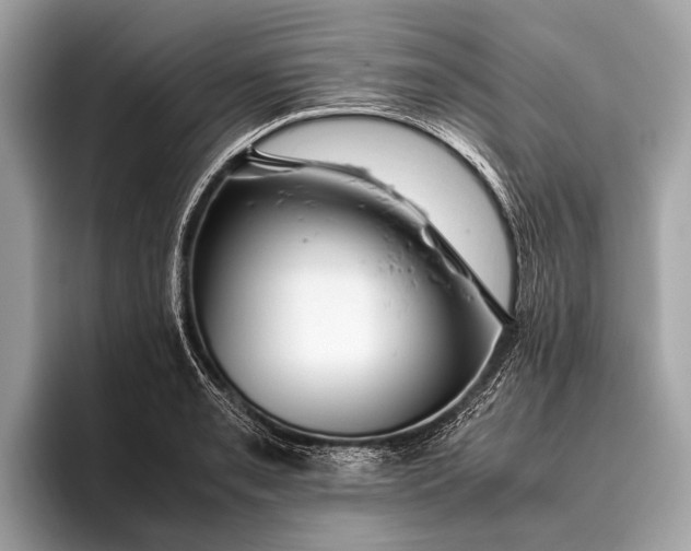 X0000095911085200801251005