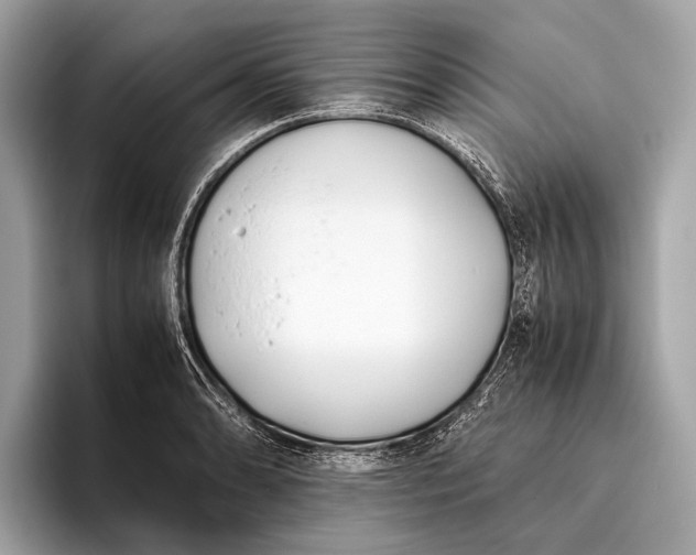 X0000095911086200801251005