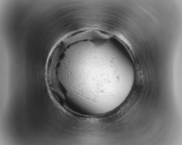 X0000095911088200801251005