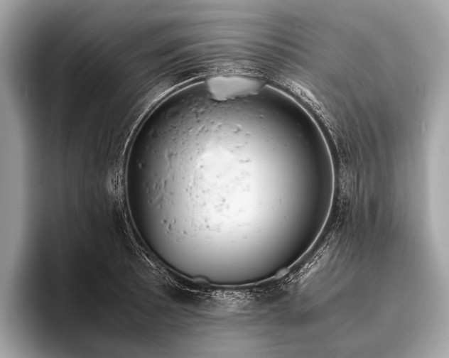 X0000095911089200801251005