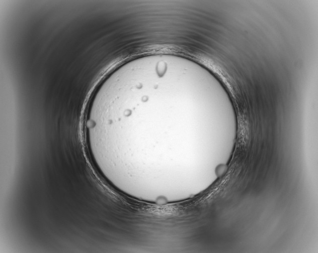 X0000095911090200801251005