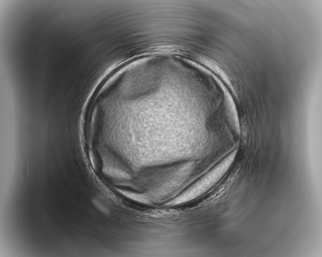 X0000095911091200801251005