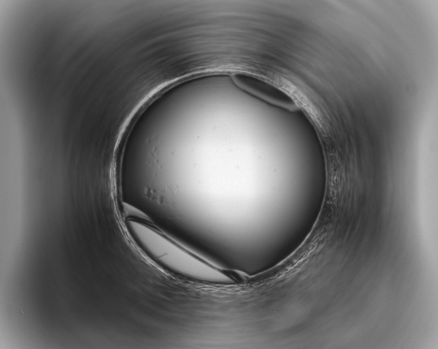 X0000095911092200801251005