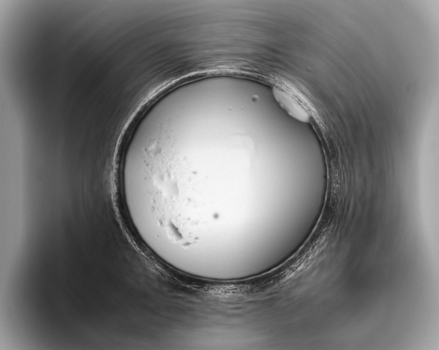 X0000095911093200801251005