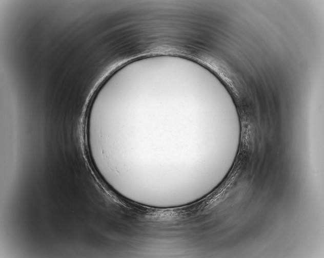 X0000095911094200801251005