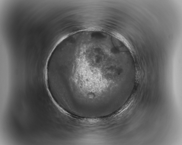 X0000095911095200801251005