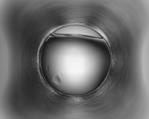 X0000095911096200801251005