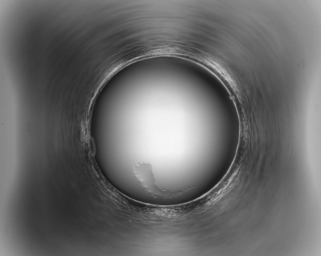 X0000095911097200801251005