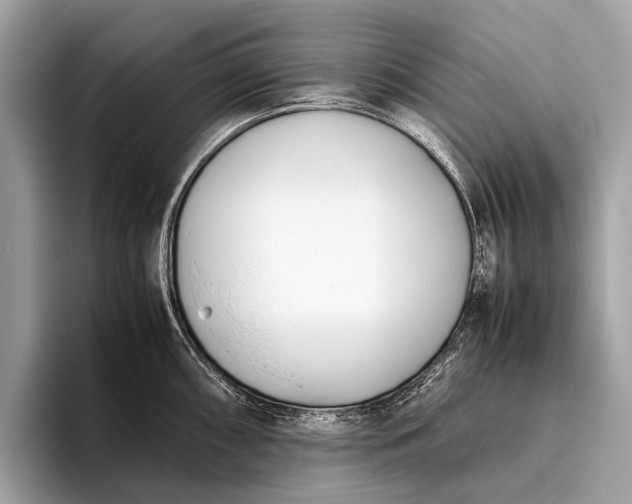 X0000095911098200801251005