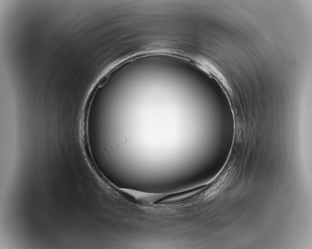 X0000095911101200801251005