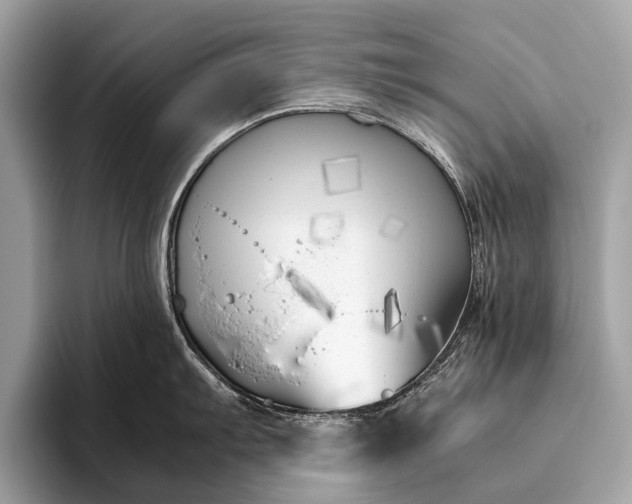 X0000095911103200801251005