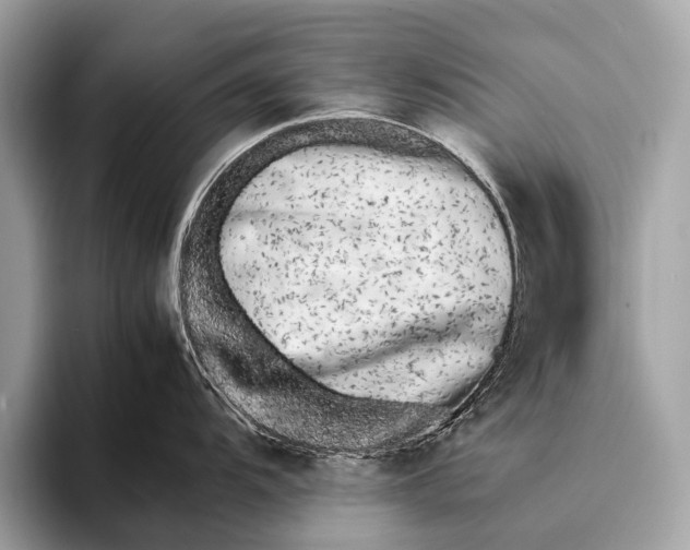 X0000095911104200801251005