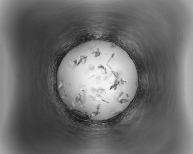 X0000095911105200801251004