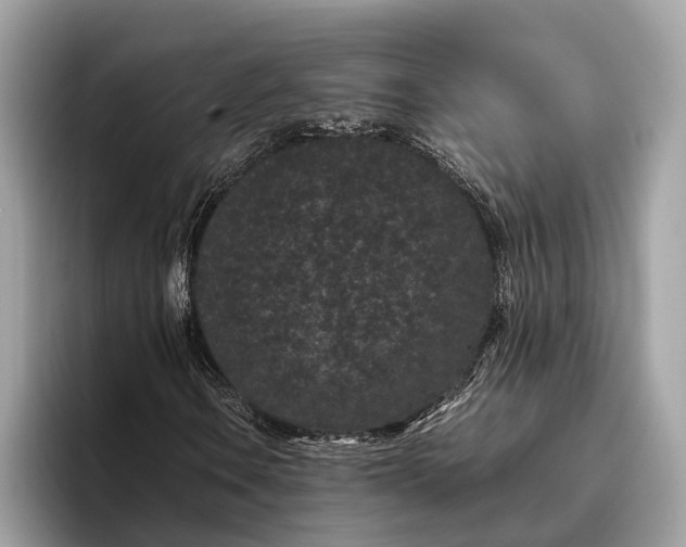 X0000095911106200801251004