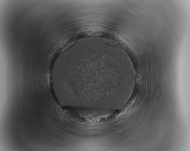 X0000095911108200801251004