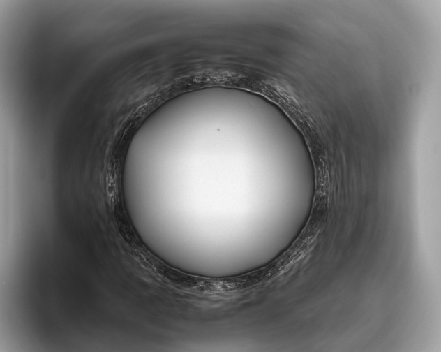 X0000095911109200801251004