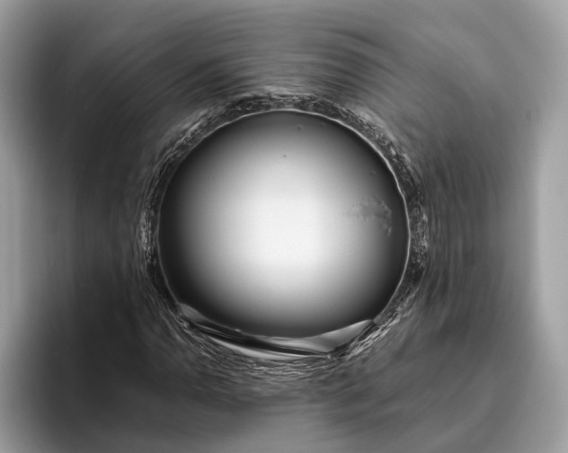 X0000095911110200801251004