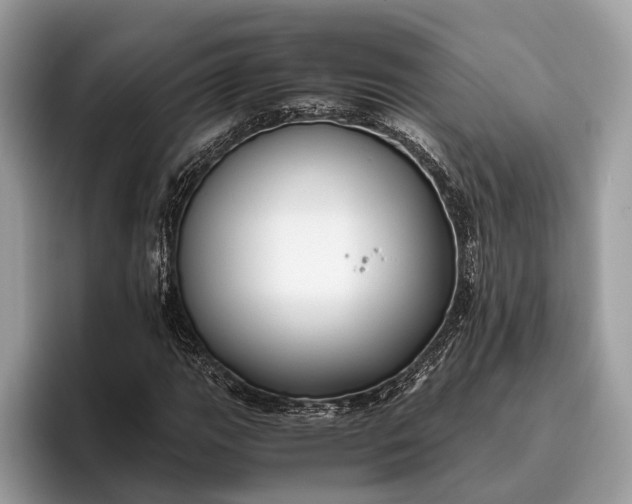 X0000095911111200801251004