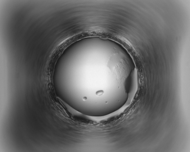 X0000095911112200801251004