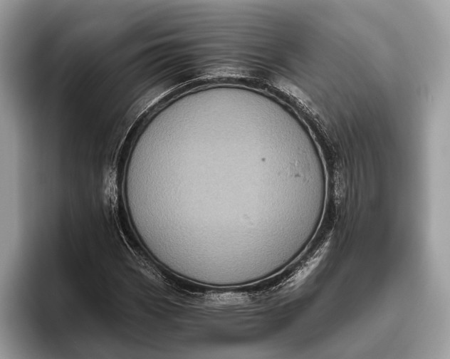 X0000095911113200801251004