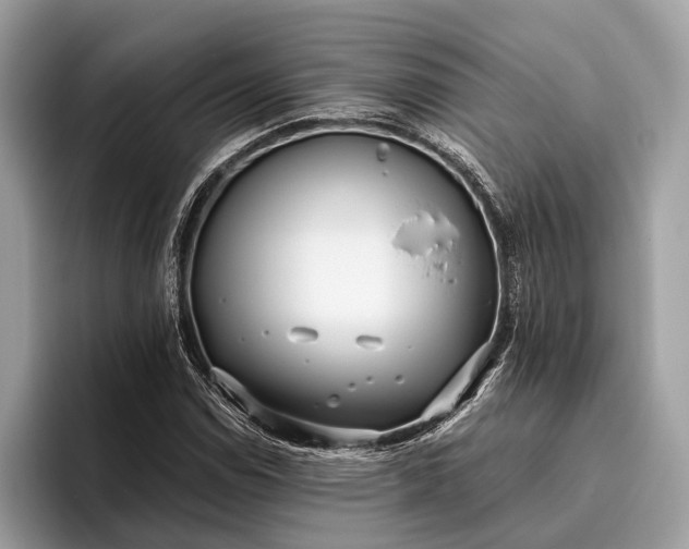 X0000095911114200801251004