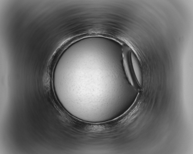 X0000095911115200801251004