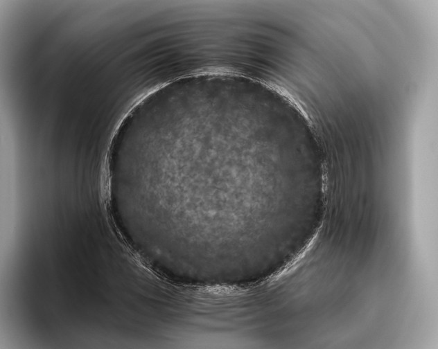 X0000095911117200801251004