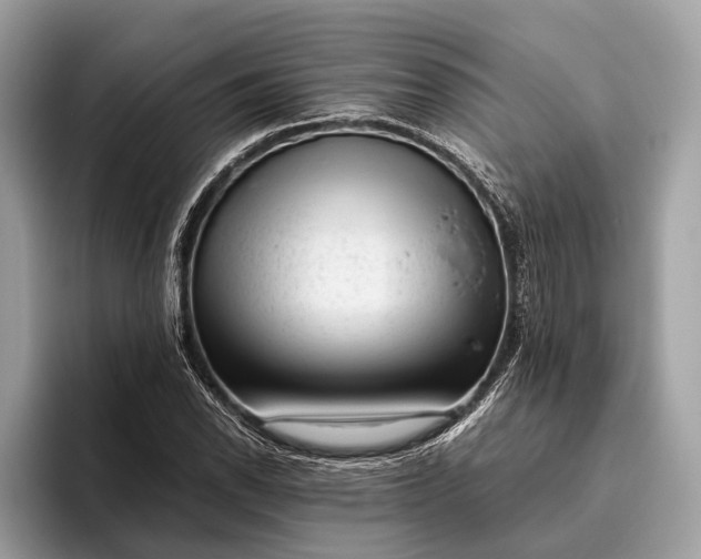 X0000095911118200801251004