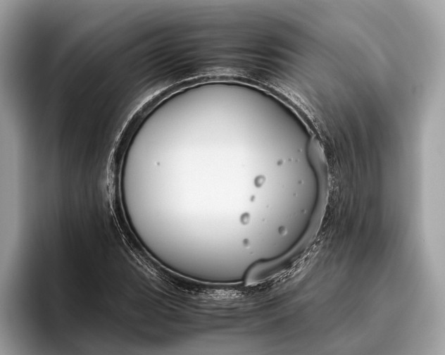 X0000095911119200801251004