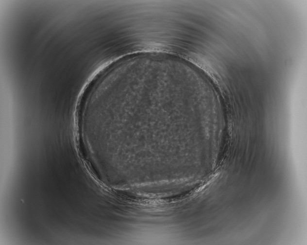 X0000095911120200801251004