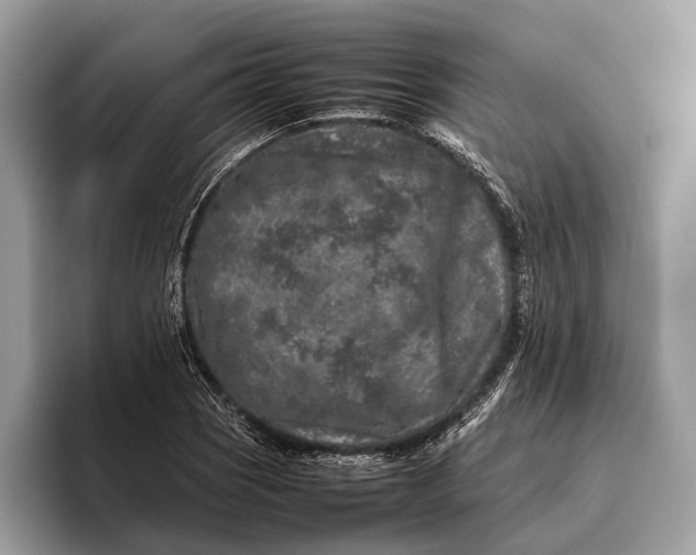 X0000095911121200801251004