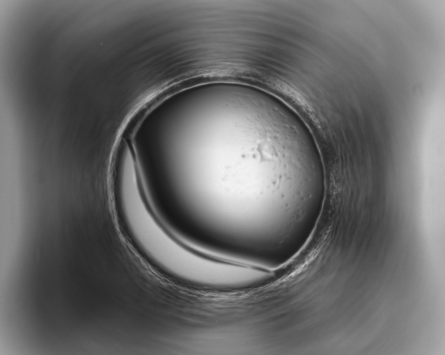 X0000095911122200801251004