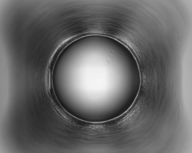 X0000095911123200801251004