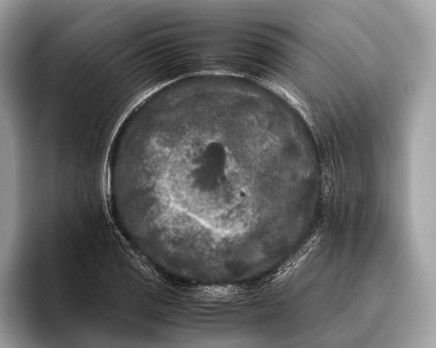 X0000095911125200801251004