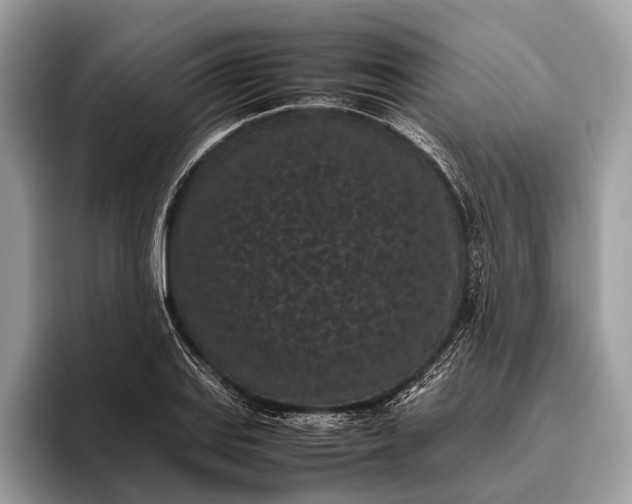 X0000095911127200801251004