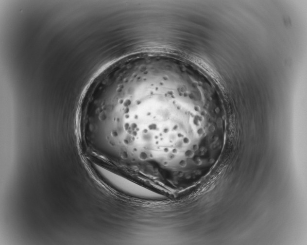 X0000095911128200801251004