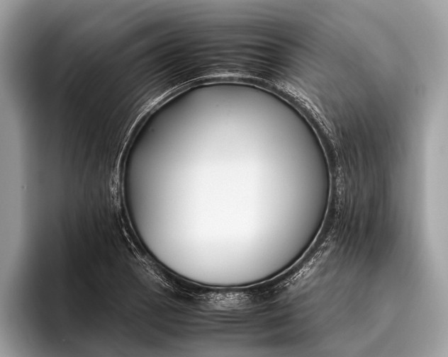 X0000095911129200801251004