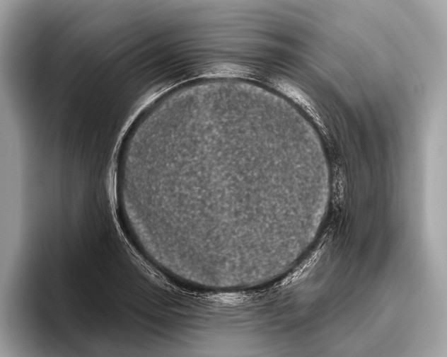 X0000095911130200801251004