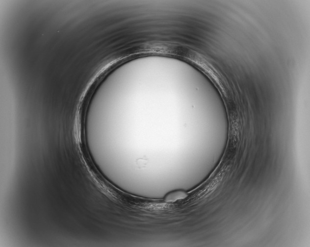 X0000095911131200801251004