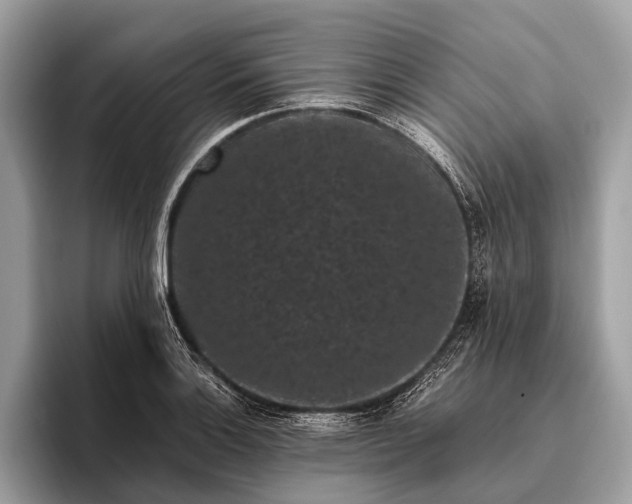 X0000095911132200801251004