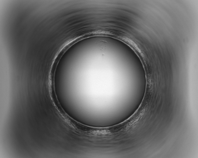 X0000095911133200801251004