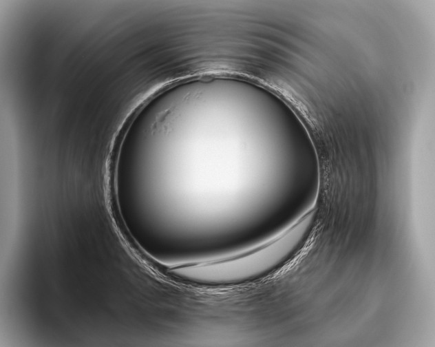 X0000095911134200801251004