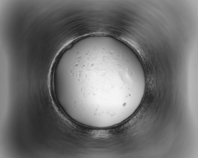 X0000095911135200801251004