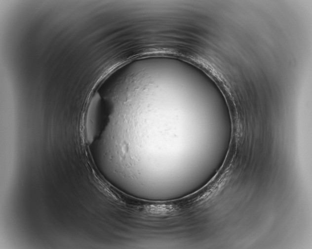 X0000095911137200801251004