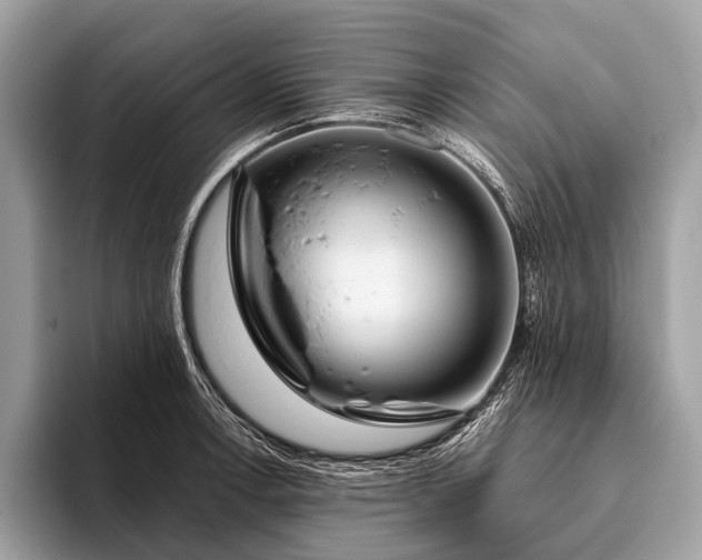 X0000095911138200801251004