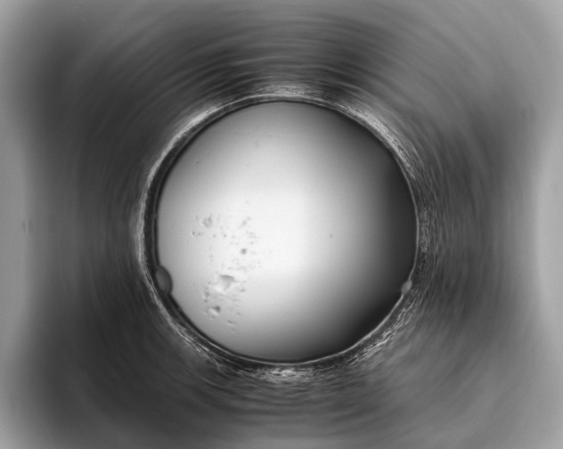 X0000095911139200801251004