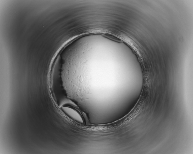 X0000095911140200801251005